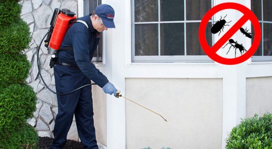 Çamlık Dezenfeksiyon böcek ilaçlama ve haşere kontrolü — ilaclama-tr.com
